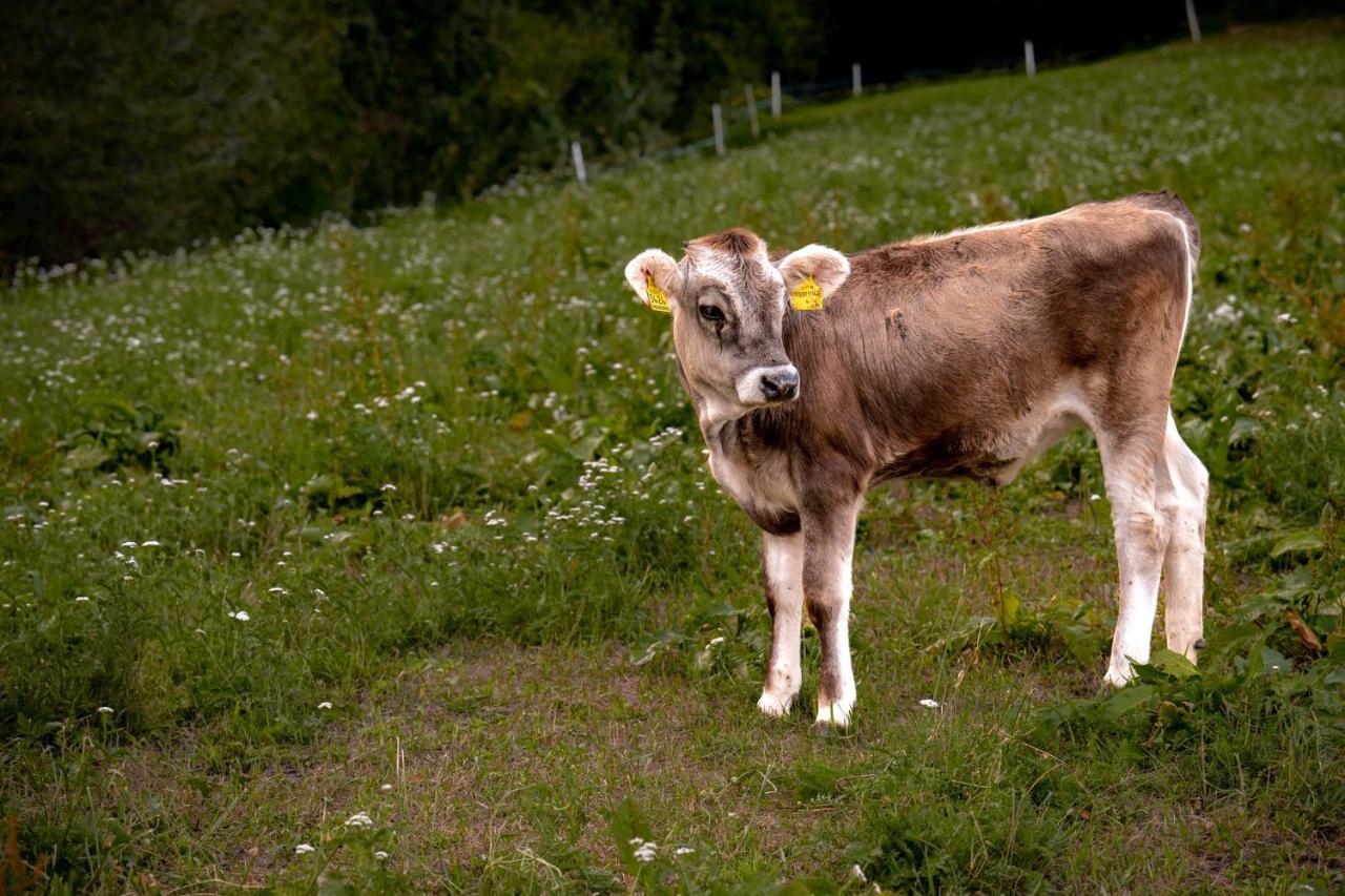 Stillehof - Ferienwohnungen auf dem Bauernhof- Südtirol Brixen Exterior foto